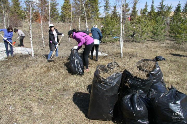 В Татарстан установили сроки проведения санитарно-экологического двухмесячника