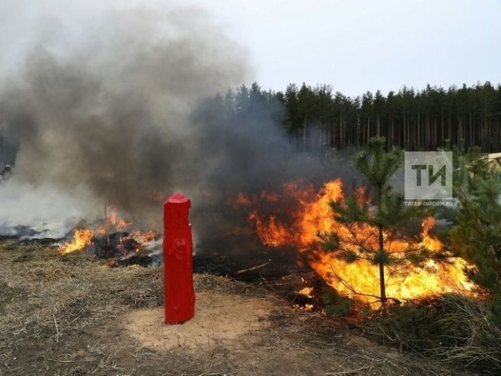 В Татарстане объявили штормовое предупреждение из-за высокой пожароопасности лесов