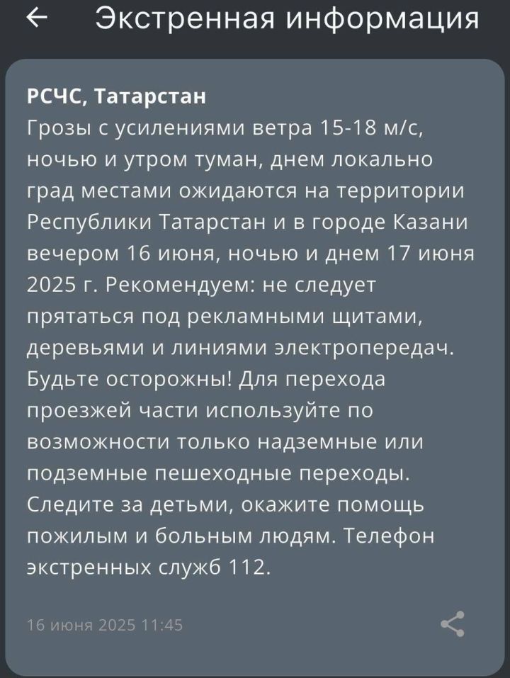 Жителей Татарстана предупредили о грозе и сильном ветре