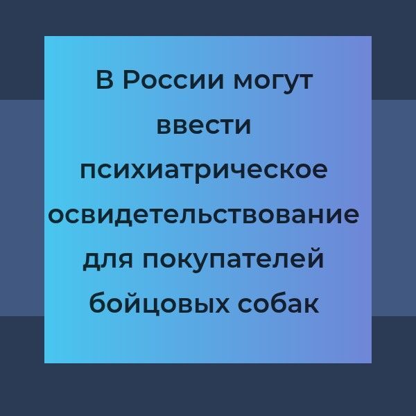 В России могут ввести психиатрическое освидетельствование для покупателей бойцовых собак