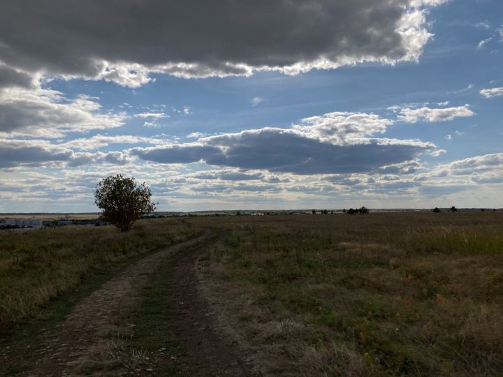 В Камских Полянах готовятся к высадке сосен