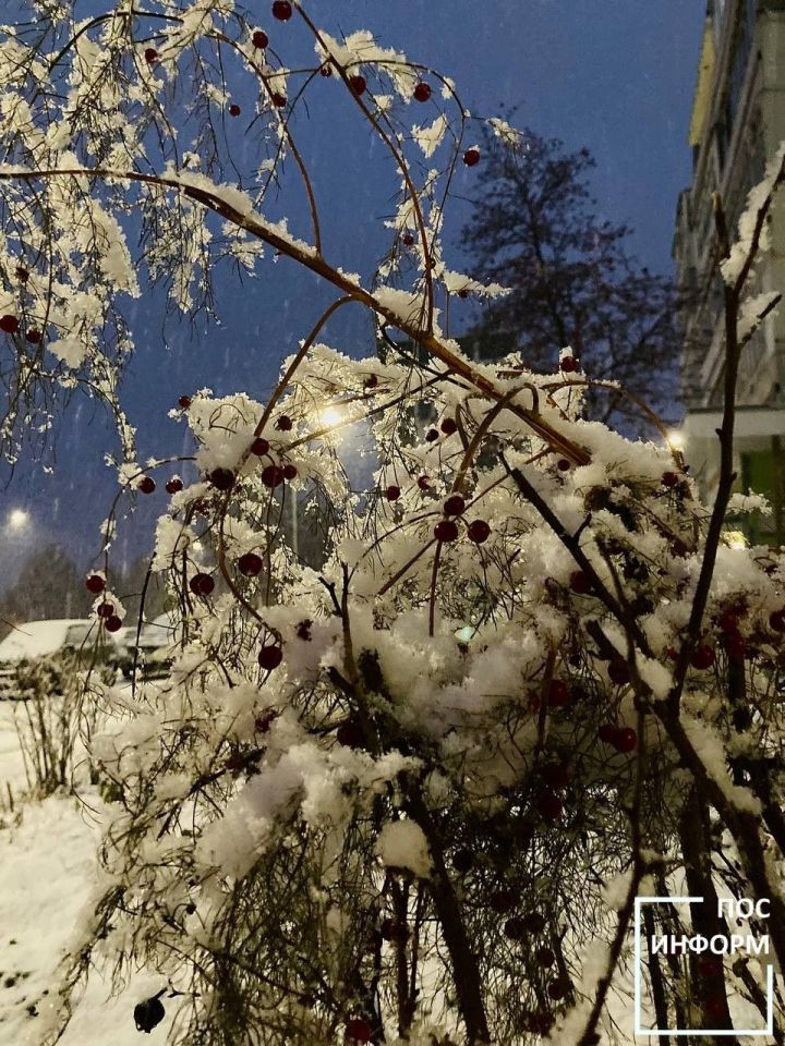 Творчество поэта Камских Полян Ильдуса Хайруллина