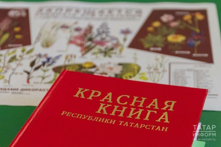 В Татарстане переиздана первая Красная книга на двух языках