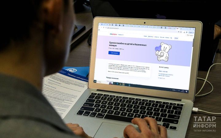 Депутат разъяснил, как определиться между пособием по уходу и единым пособием