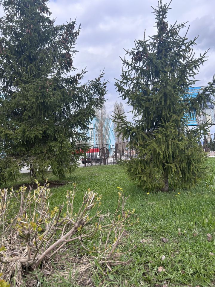 Метеорологи сообщили, когда можно ожидать потепления и приступать к посадке картофеля