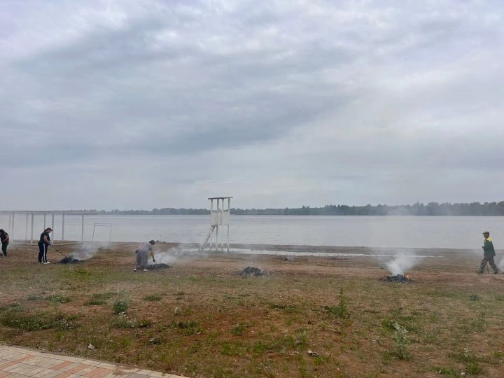 В Камских Полянах трудовые коллективы привели в порядок пляж «Мандарин»
