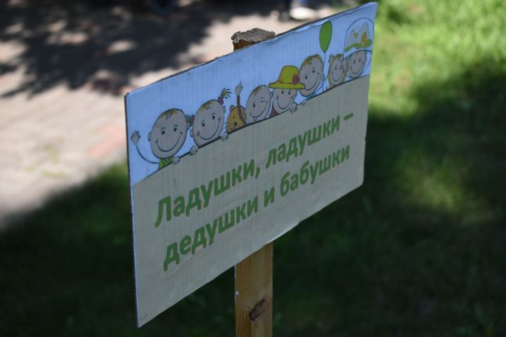 Как прошел фестиваль «Библиотека без границ» в Камских Полянах: фото
