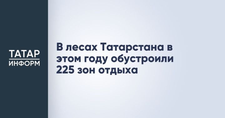 В лесах Татарстана в этом году обустроили 225 зон отдыха