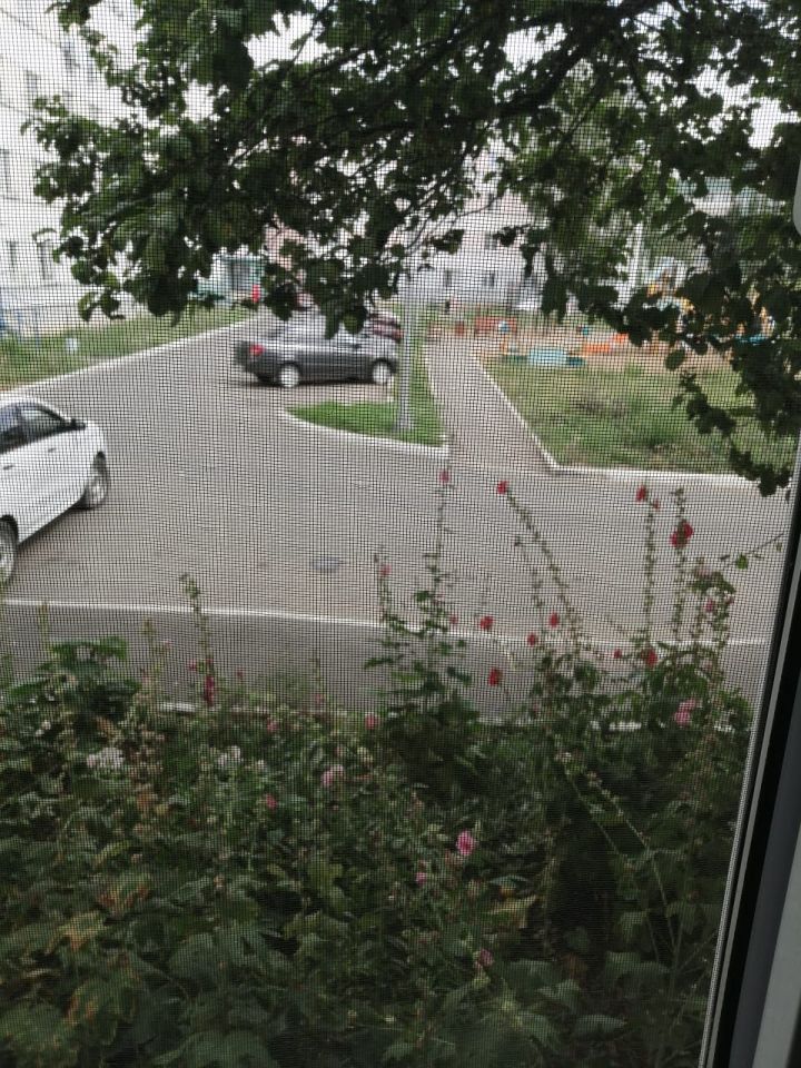 Проверяем ваш автомобиль на чистоту выхлопных газов