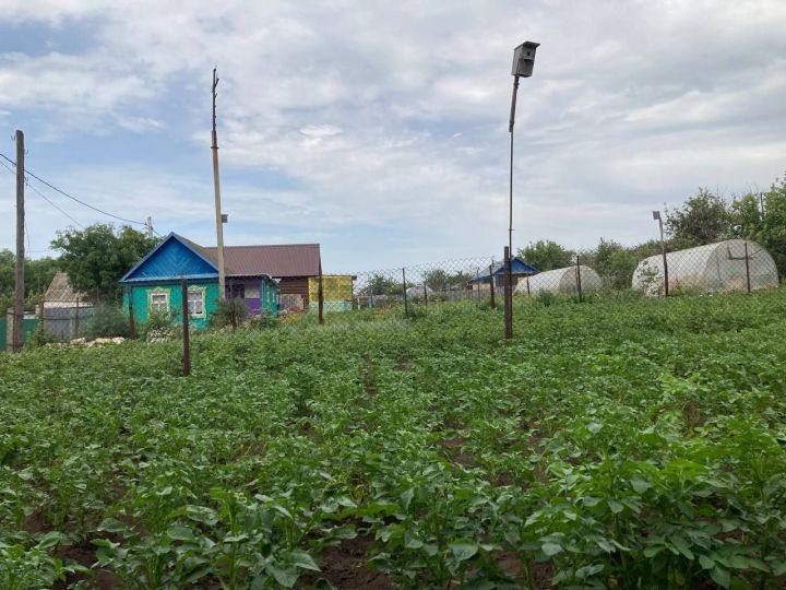 Как перевести садовый дом в жилой для участия в программе социальной догазификации