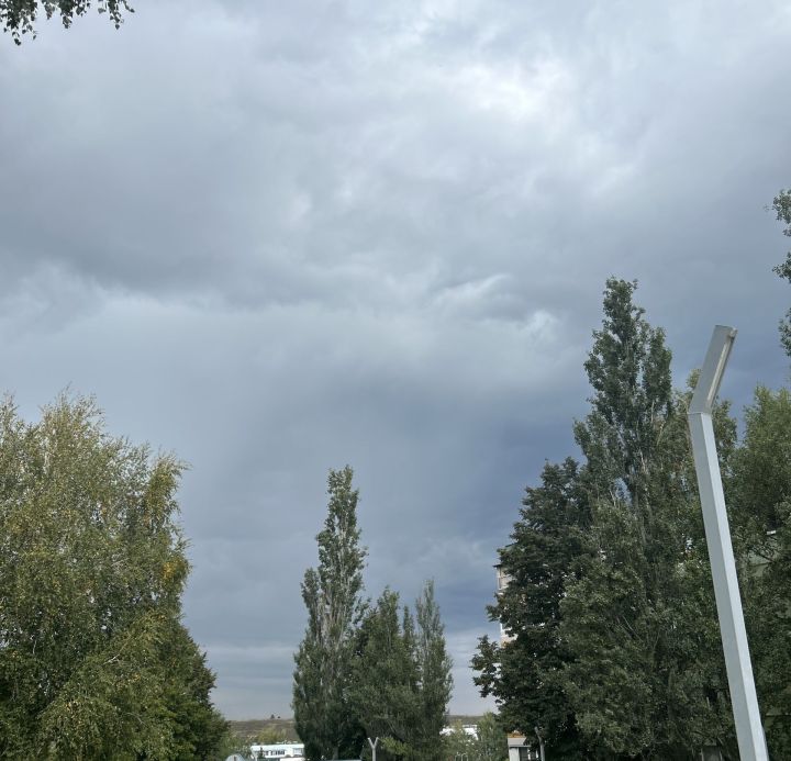 Дождливая и туманная погода ожидается 17 сентября в Татарстане