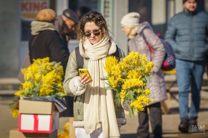 Жители Татарстана могут проголосовать за появление интернета в своем поселении