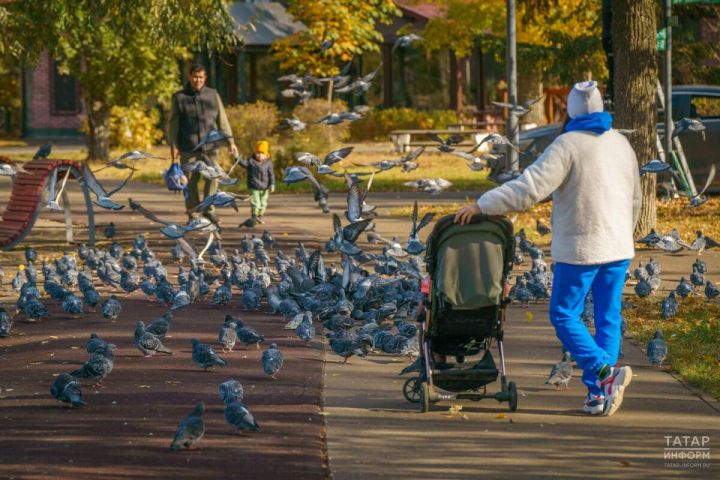 Жителям Татарстана объяснили, как получить выплату из маткапитала